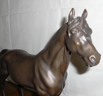 Detalle frontal caballo árabe